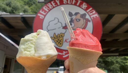 【食レポ】牧場直営のアイスクリーム屋「まきばのジャージー」を調査（福島県伊達市）